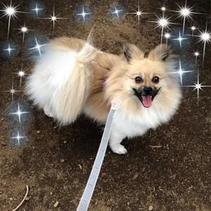 Meet your Posher, Kendal